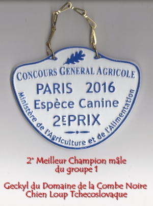 CORAIL